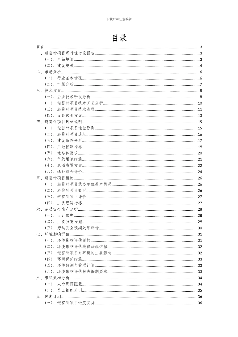 2024年避雷针项目可行性分析报告_第2页
