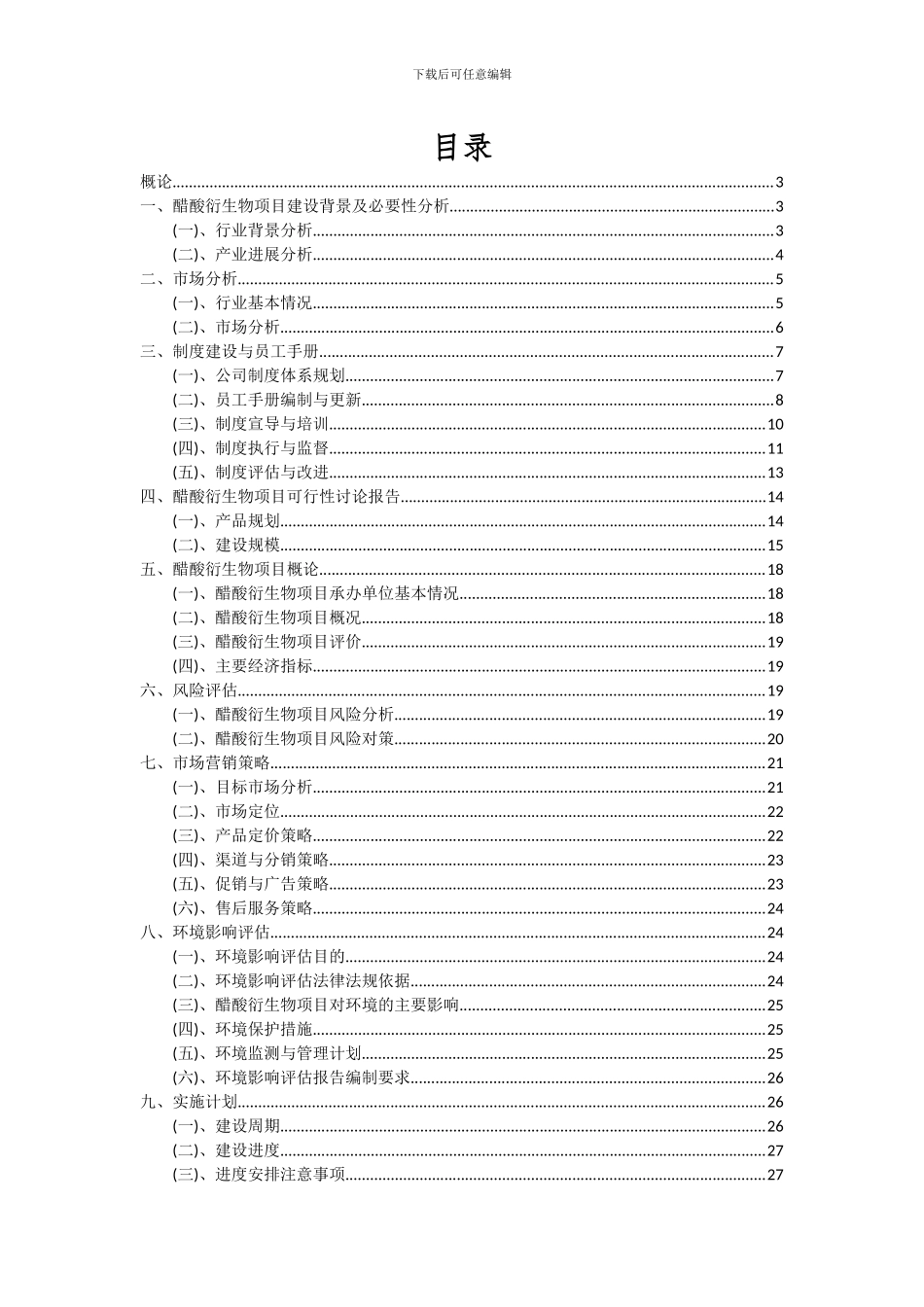 2024年醋酸衍生物项目可行性分析报告_第2页