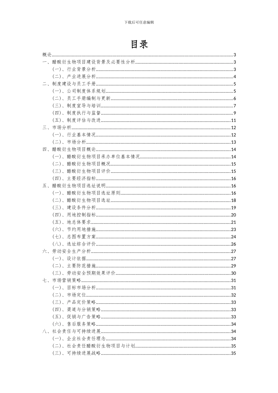 2024年醋酸衍生物项目可行性研究报告_第2页