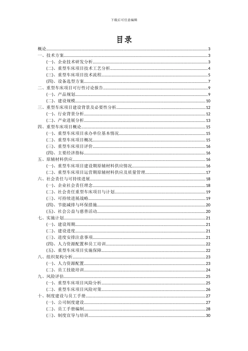 2024年重型车床项目深度研究分析报告_第2页