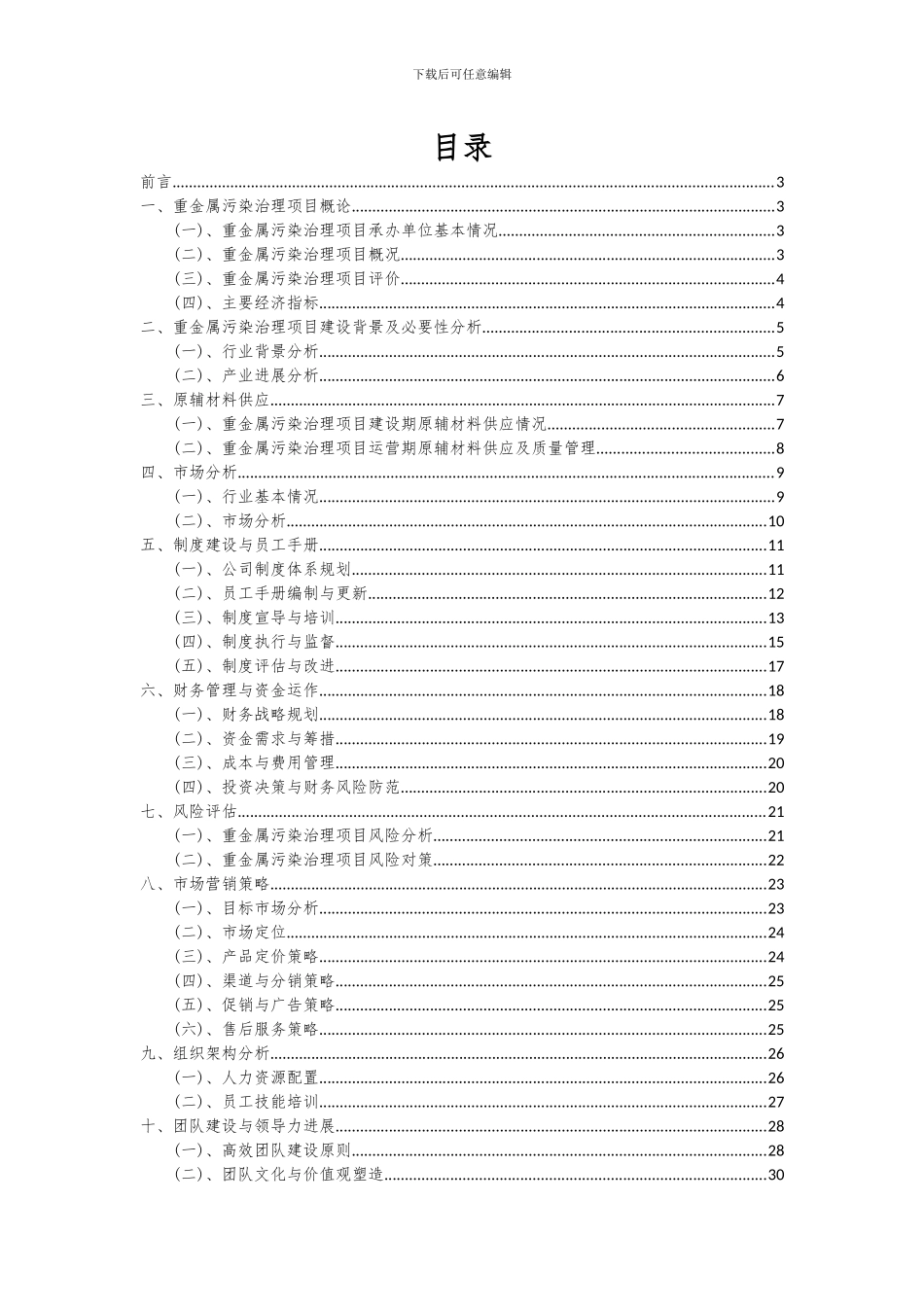 2024年重金属污染治理项目可行性研究报告_第2页