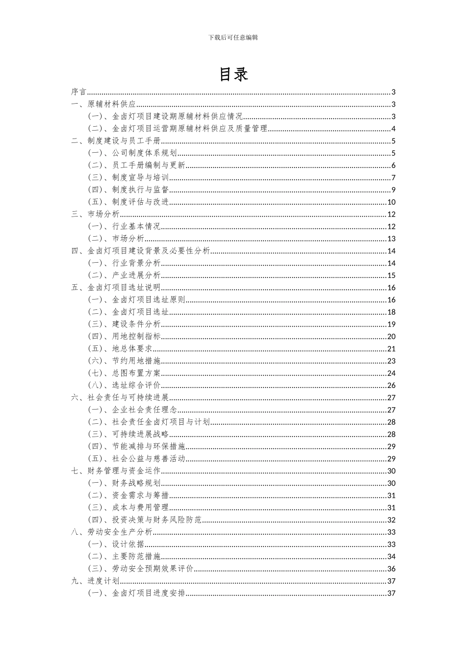2024年金卤灯项目可行性分析报告_第2页