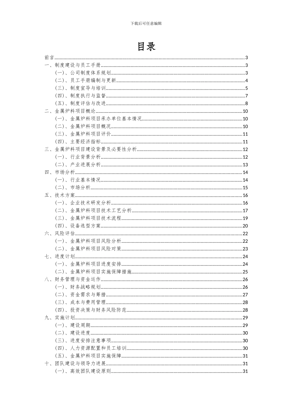 2024年金属炉料项目深度研究分析报告_第2页
