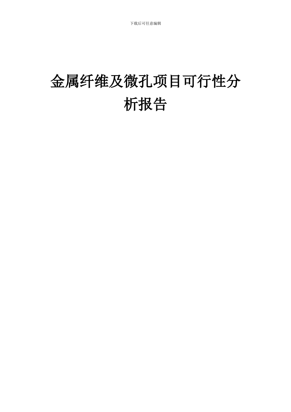 2024年金属纤维及微孔项目可行性分析报告_第1页