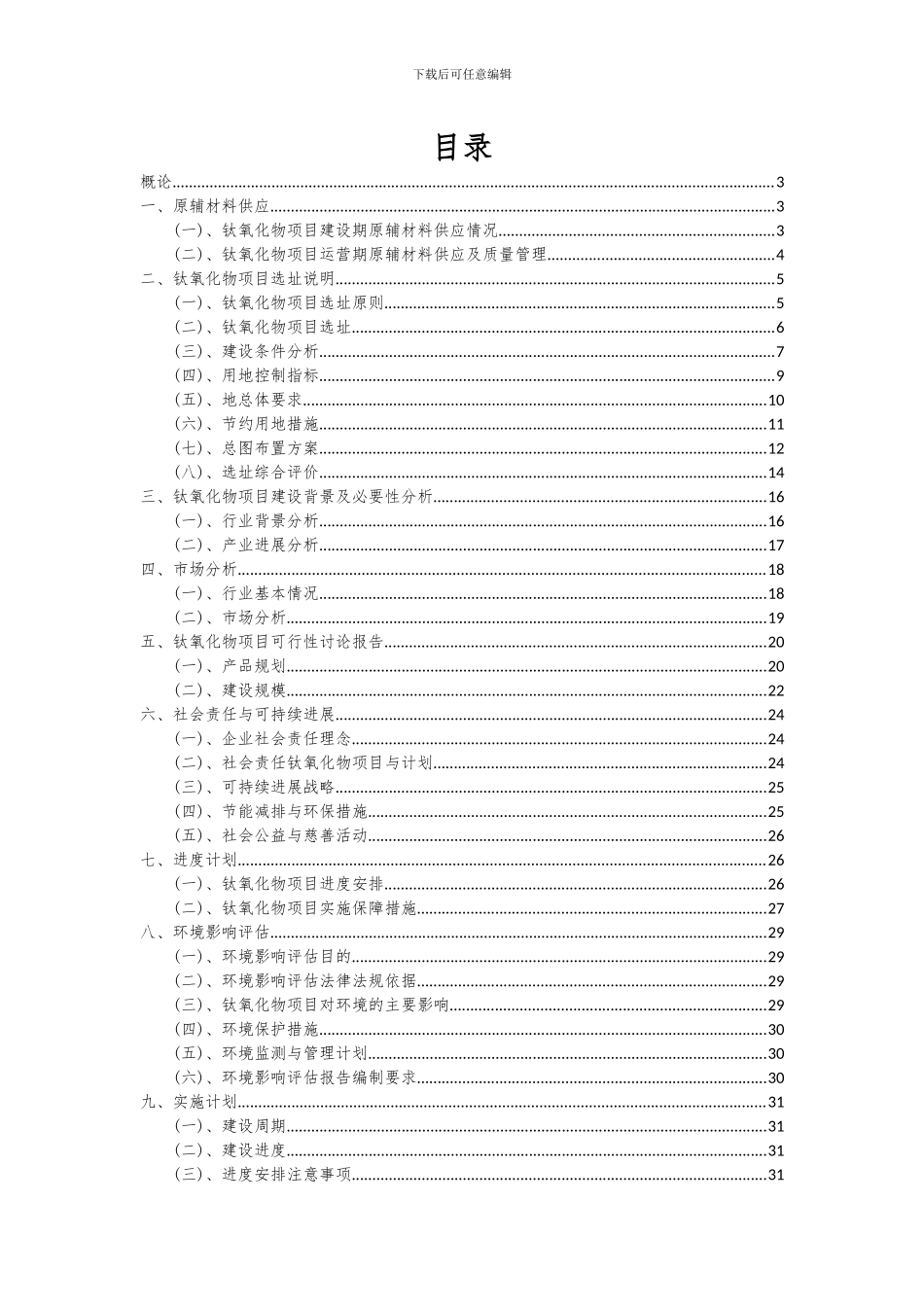 2024年钛氧化物项目可行性分析报告_第2页