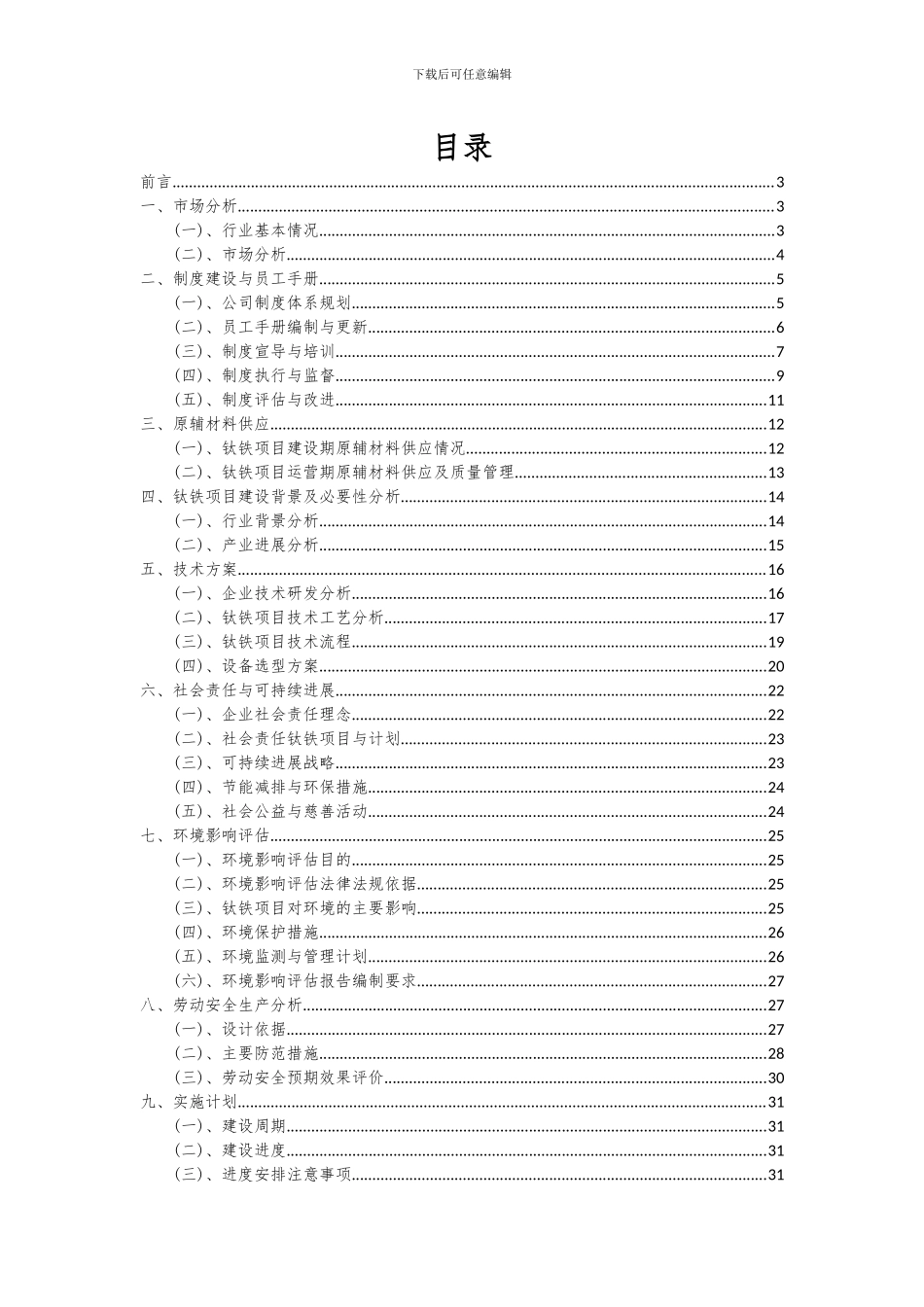 2024年钛铁项目可行性分析报告_第2页