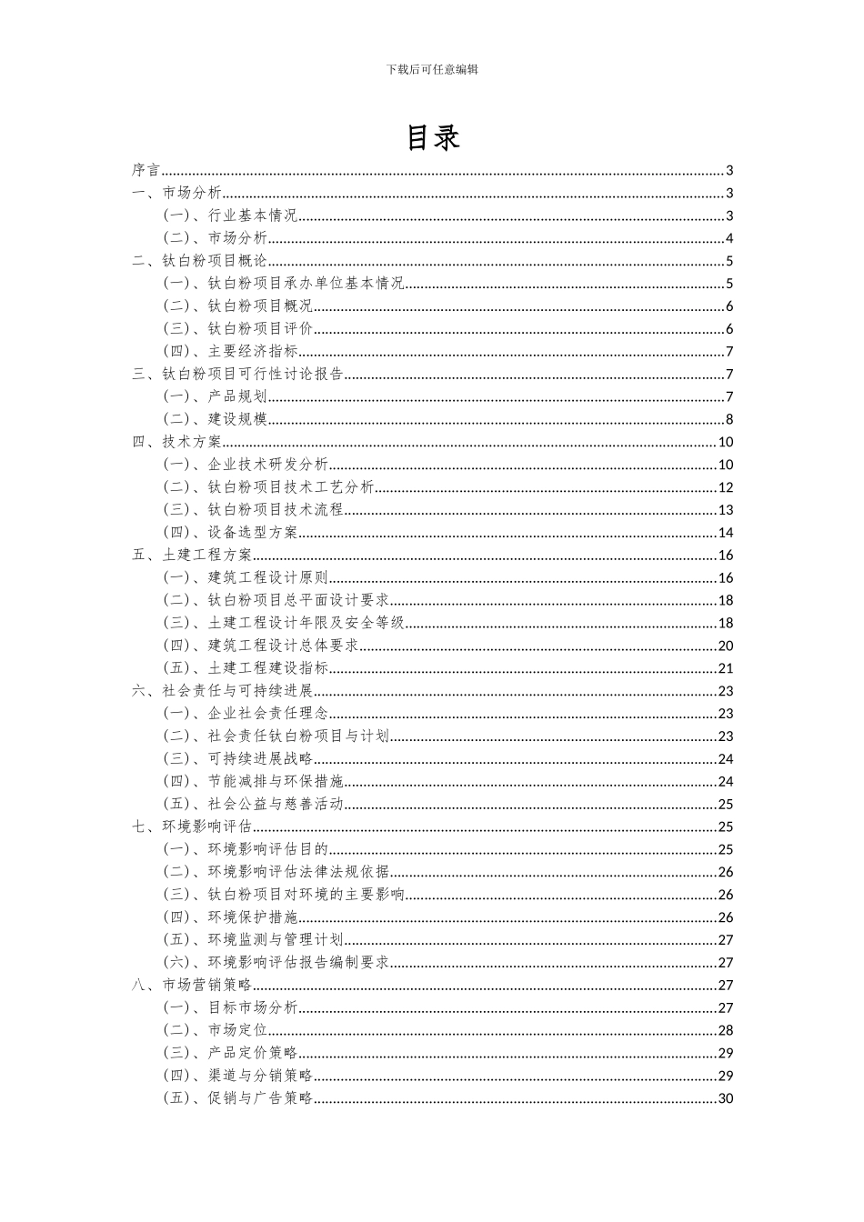 2024年钛白粉项目可行性分析报告_第2页