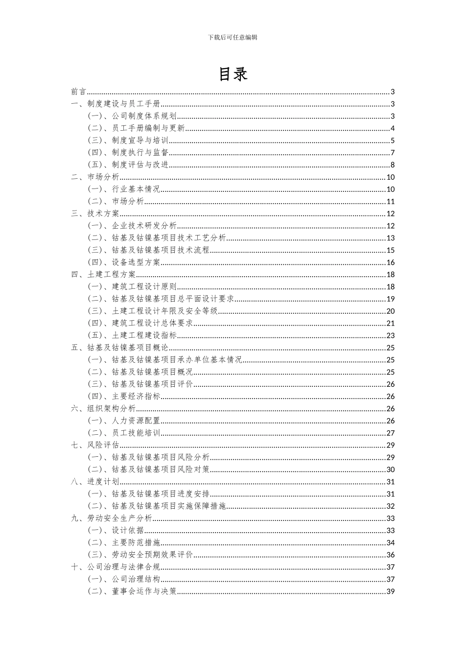 2024年钴基及钴镍基项目可行性研究报告_第2页