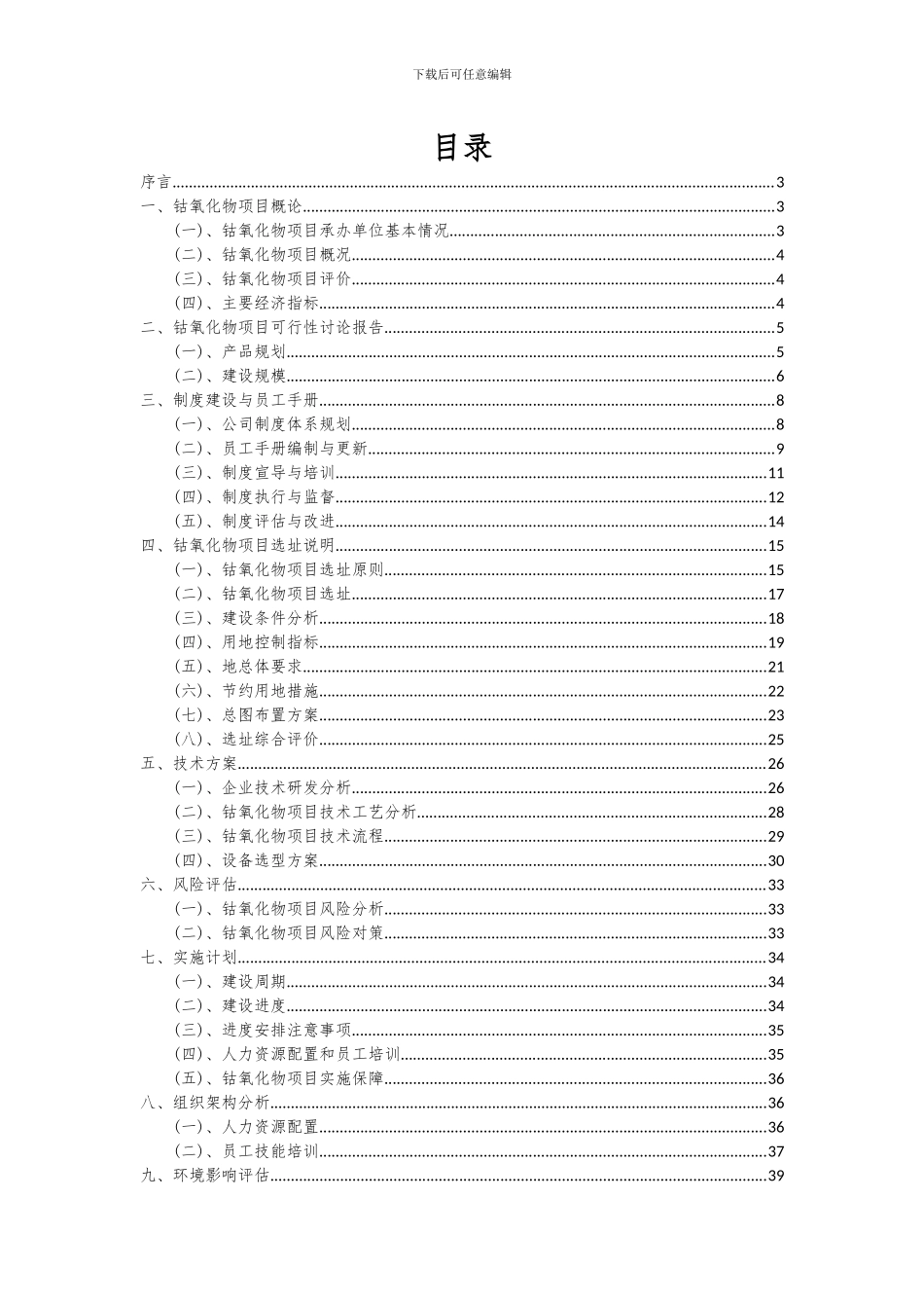 2024年钴氧化物项目可行性分析报告_第2页