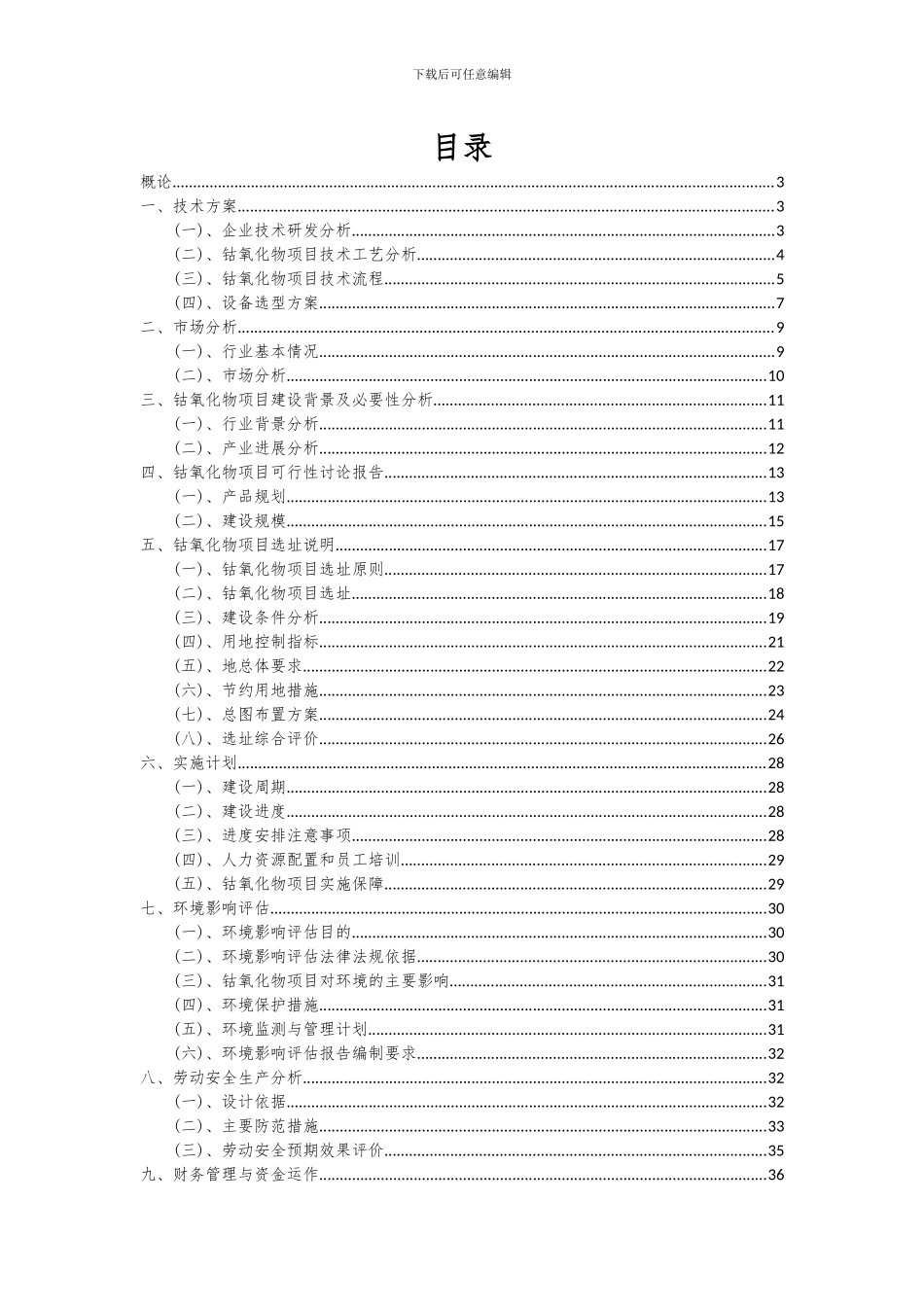 2024年钴氧化物项目可行性研究报告_第2页