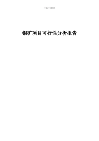 2024年钼矿项目可行性分析报告