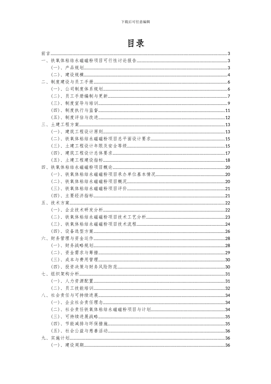 2024年铁氧体粘结永磁磁粉项目可行性研究报告_第2页