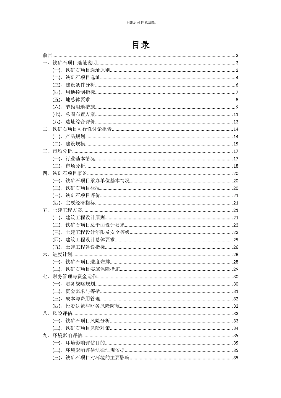 2024年铁矿石项目可行性研究报告_第2页