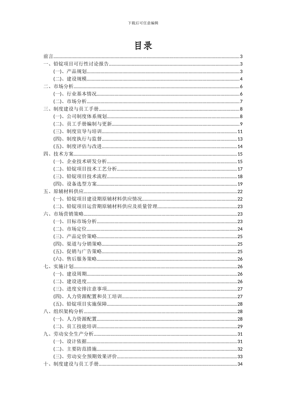 2024年铅锭项目可行性分析报告_第2页