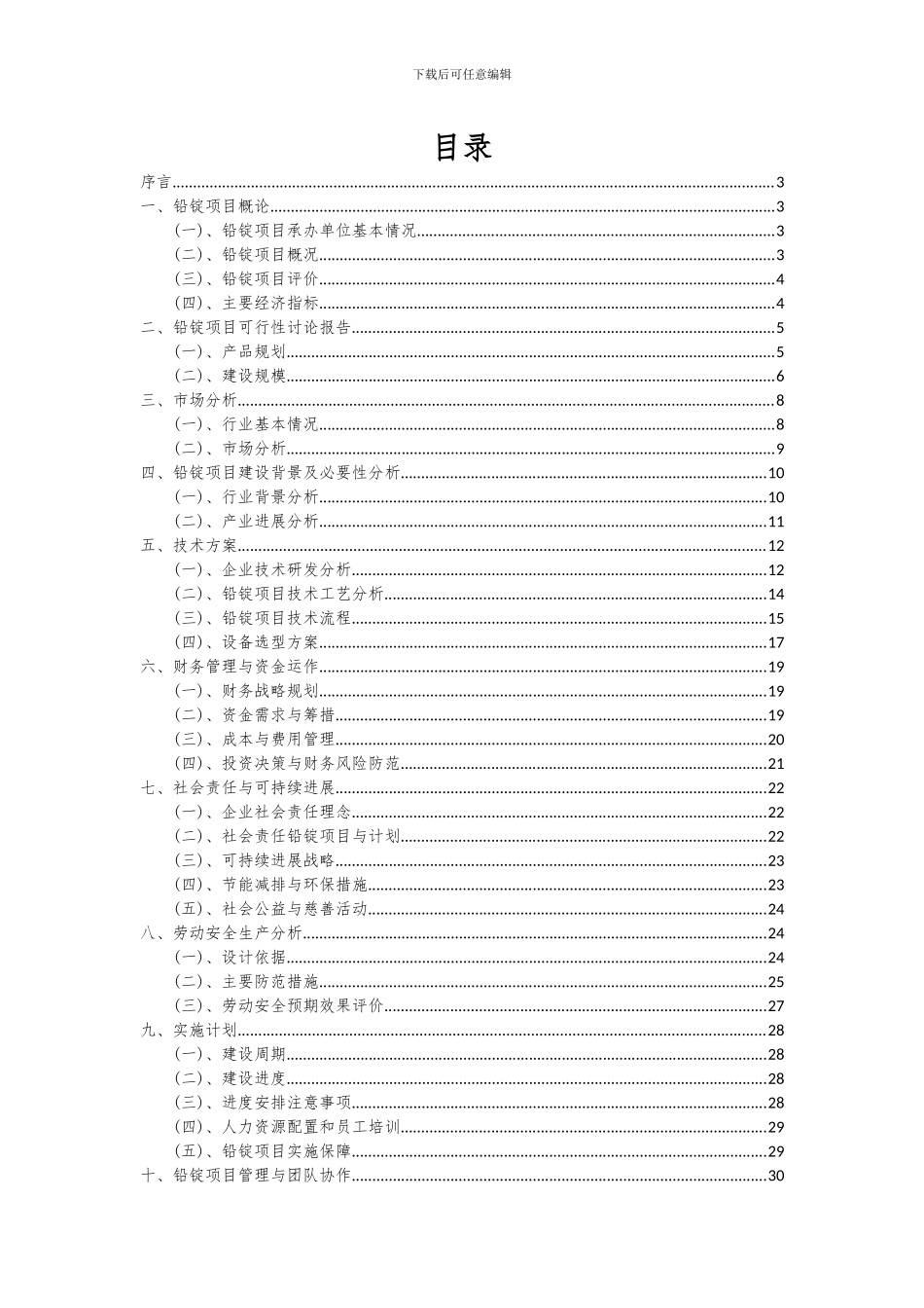 2024年铅锭项目投资分析及可行性报告_第2页