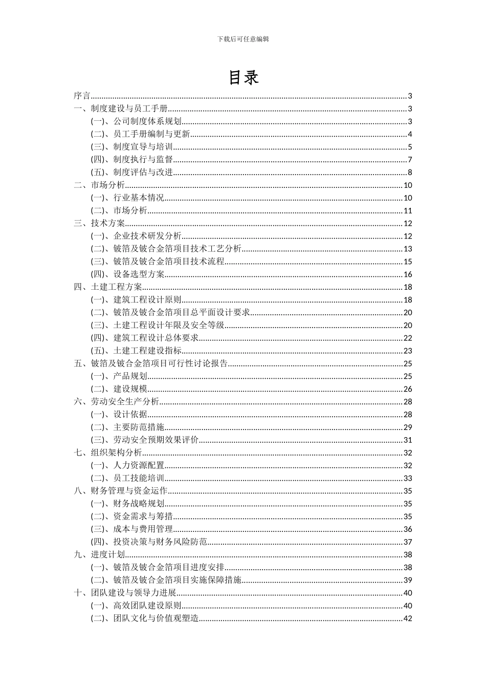 2024年铍箔及铍合金箔项目可行性分析报告_第2页