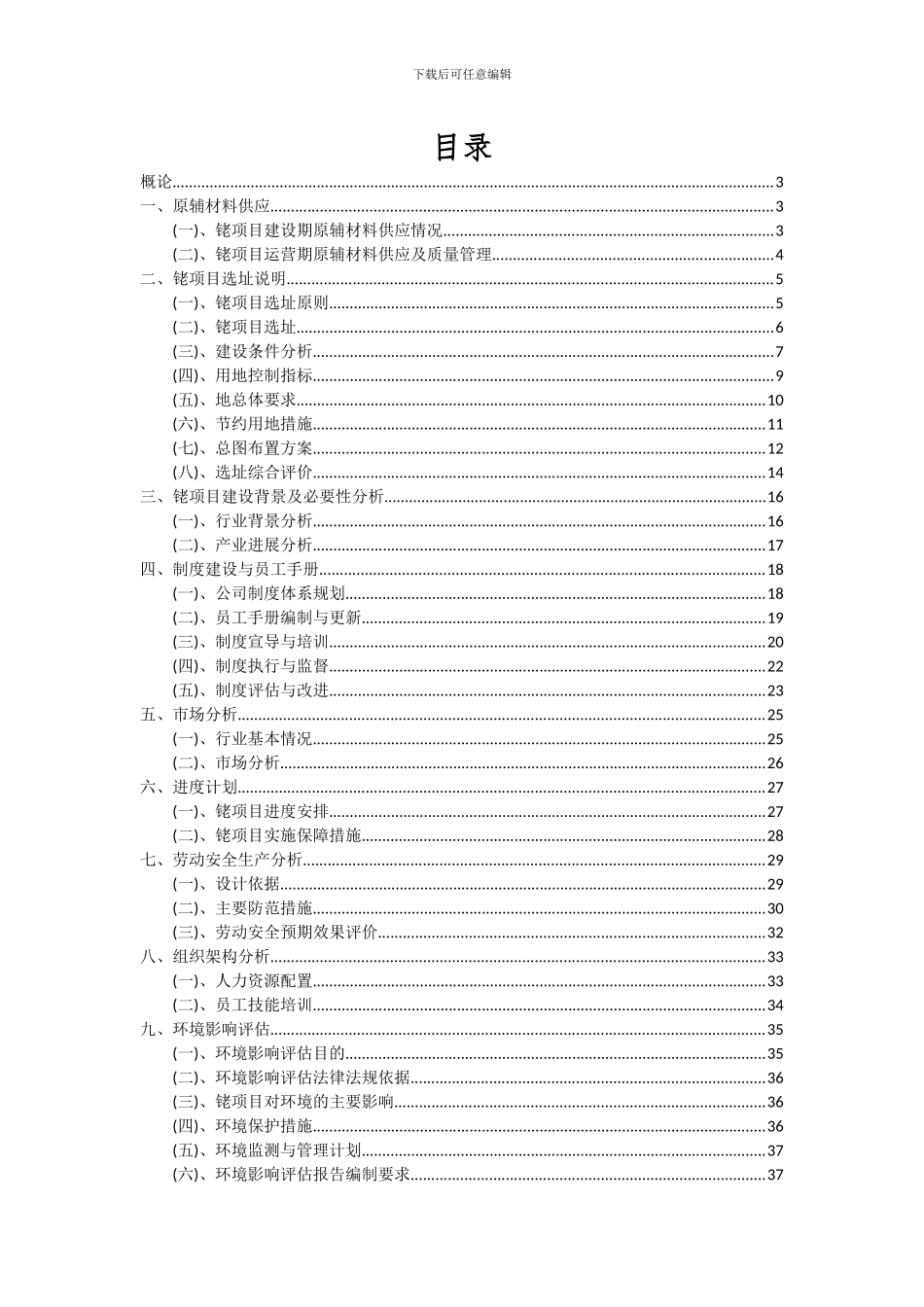2024年铑项目深度研究分析报告_第2页