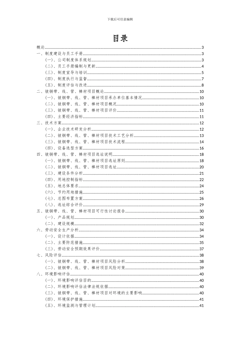 2024年铍铜带、线、管、棒材项目投资分析及可行性报告_第2页