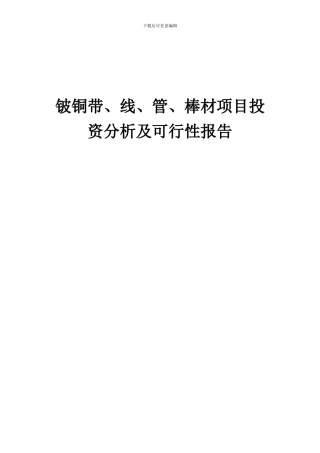 2024年铍铜带、线、管、棒材项目投资分析及可行性报告