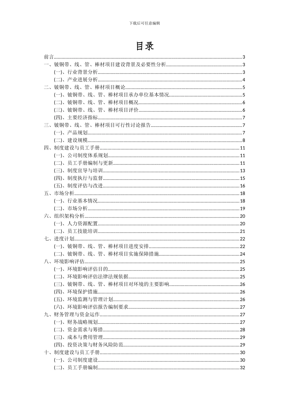 2024年铍铜带、线、管、棒材项目可行性研究报告_第2页