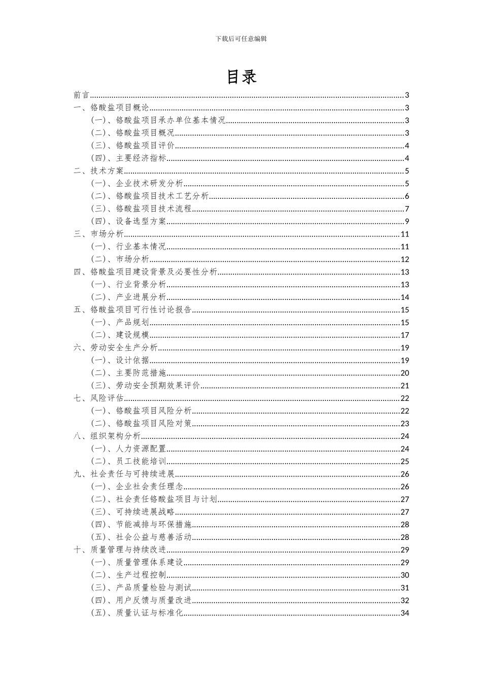 2024年铬酸盐项目可行性分析报告_第2页