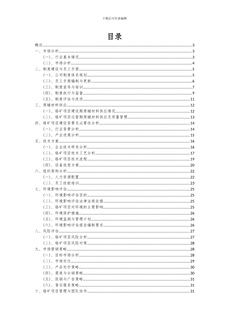 2024年铬矿项目可行性分析报告_第2页