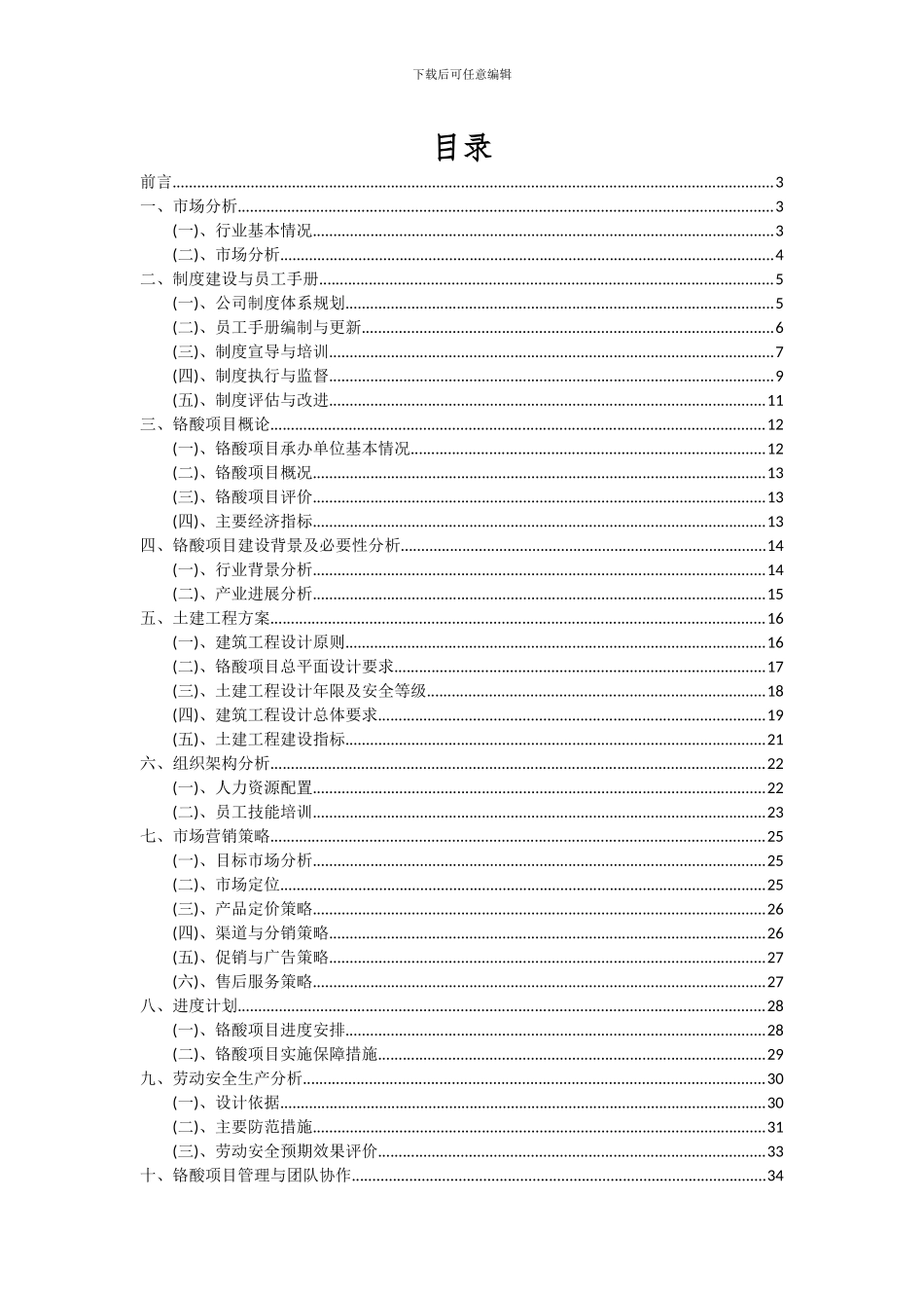 2024年铬酸项目投资分析及可行性报告_第2页