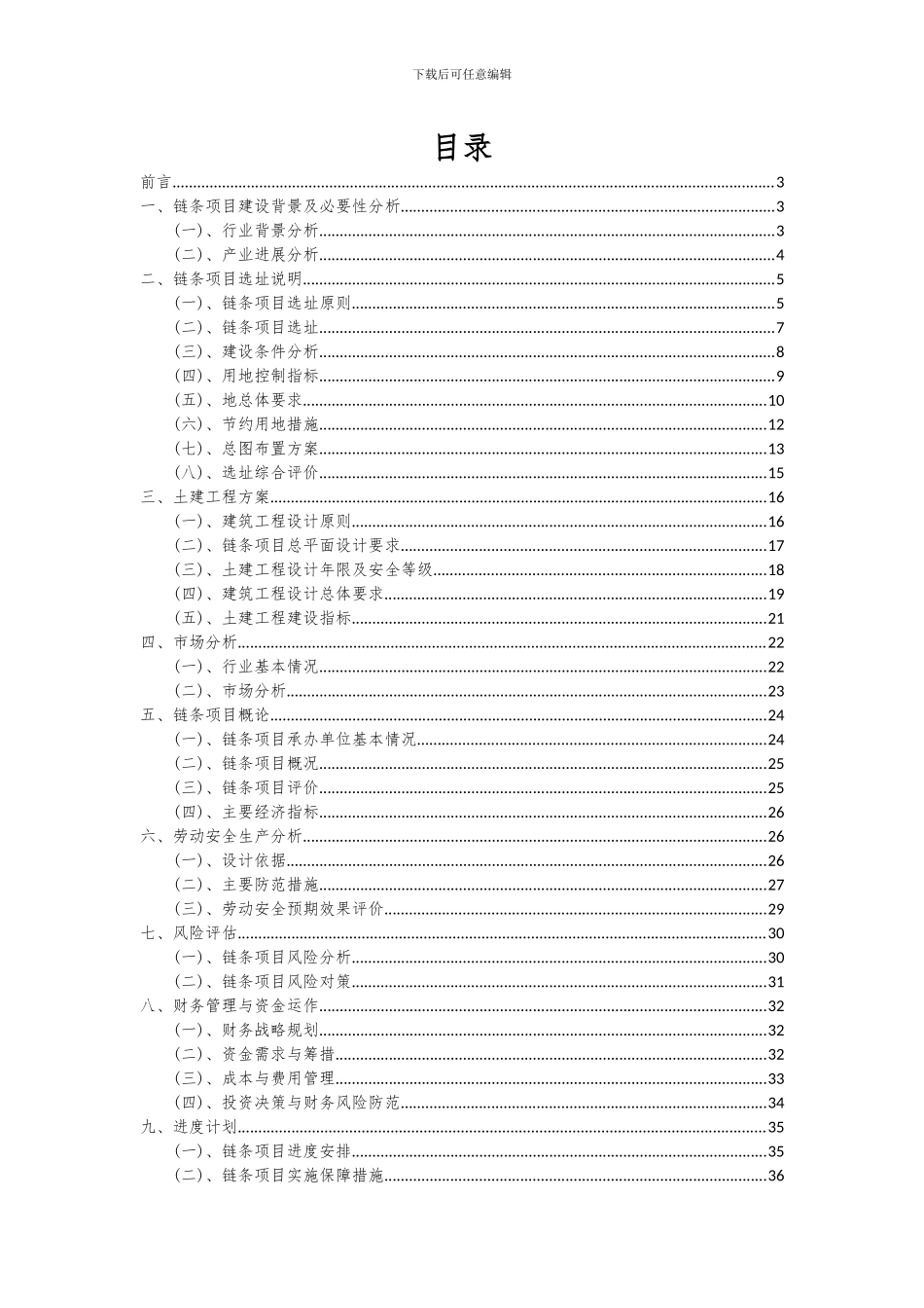 2024年链条项目深度研究分析报告_第2页