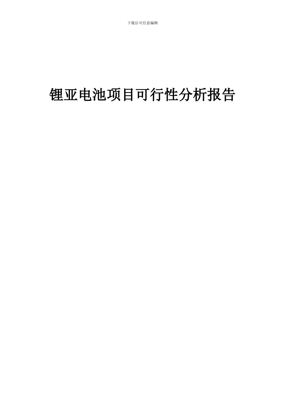 2024年锂亚电池项目可行性分析报告_第1页