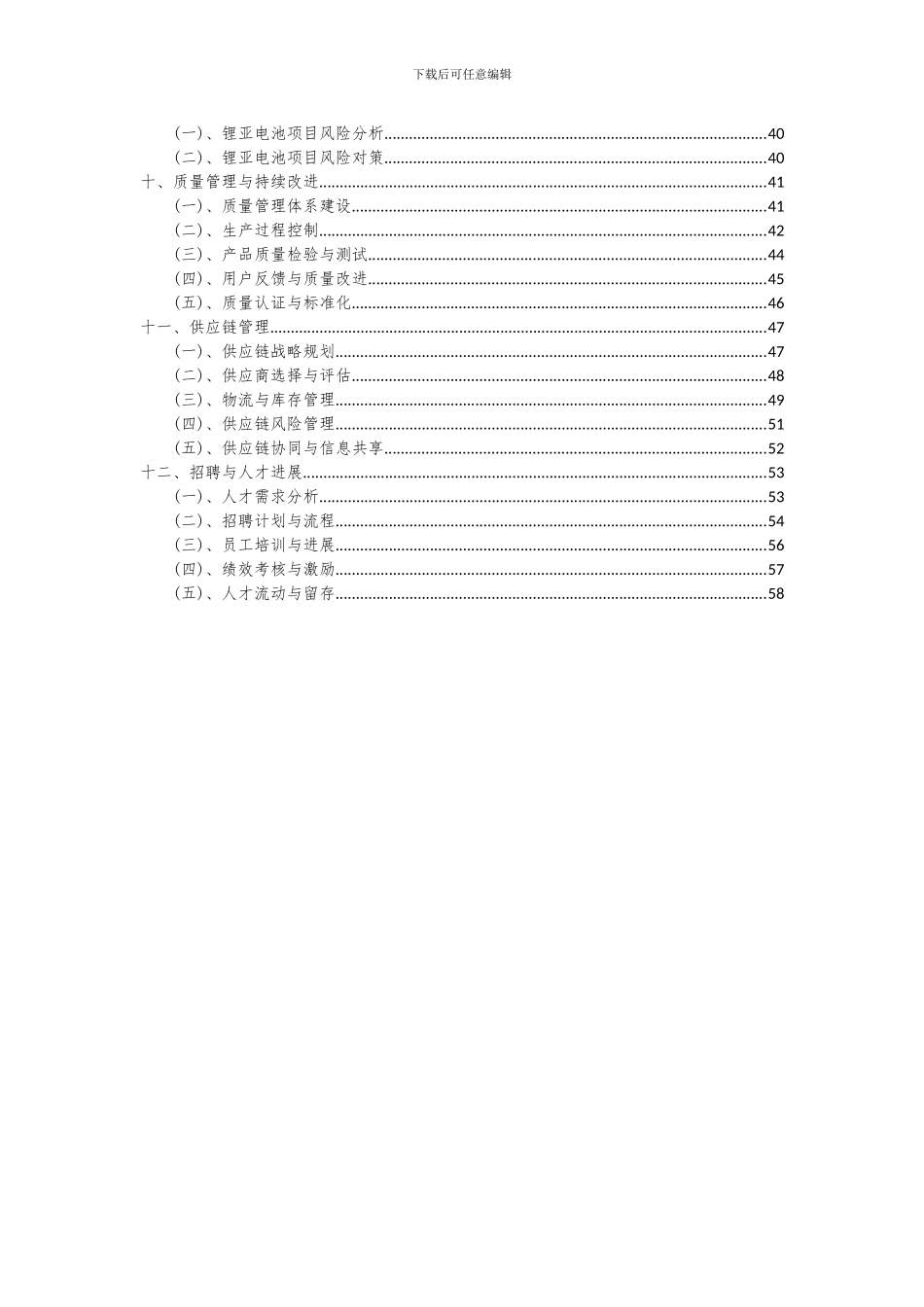 2024年锂亚电池项目可行性分析报告_第3页