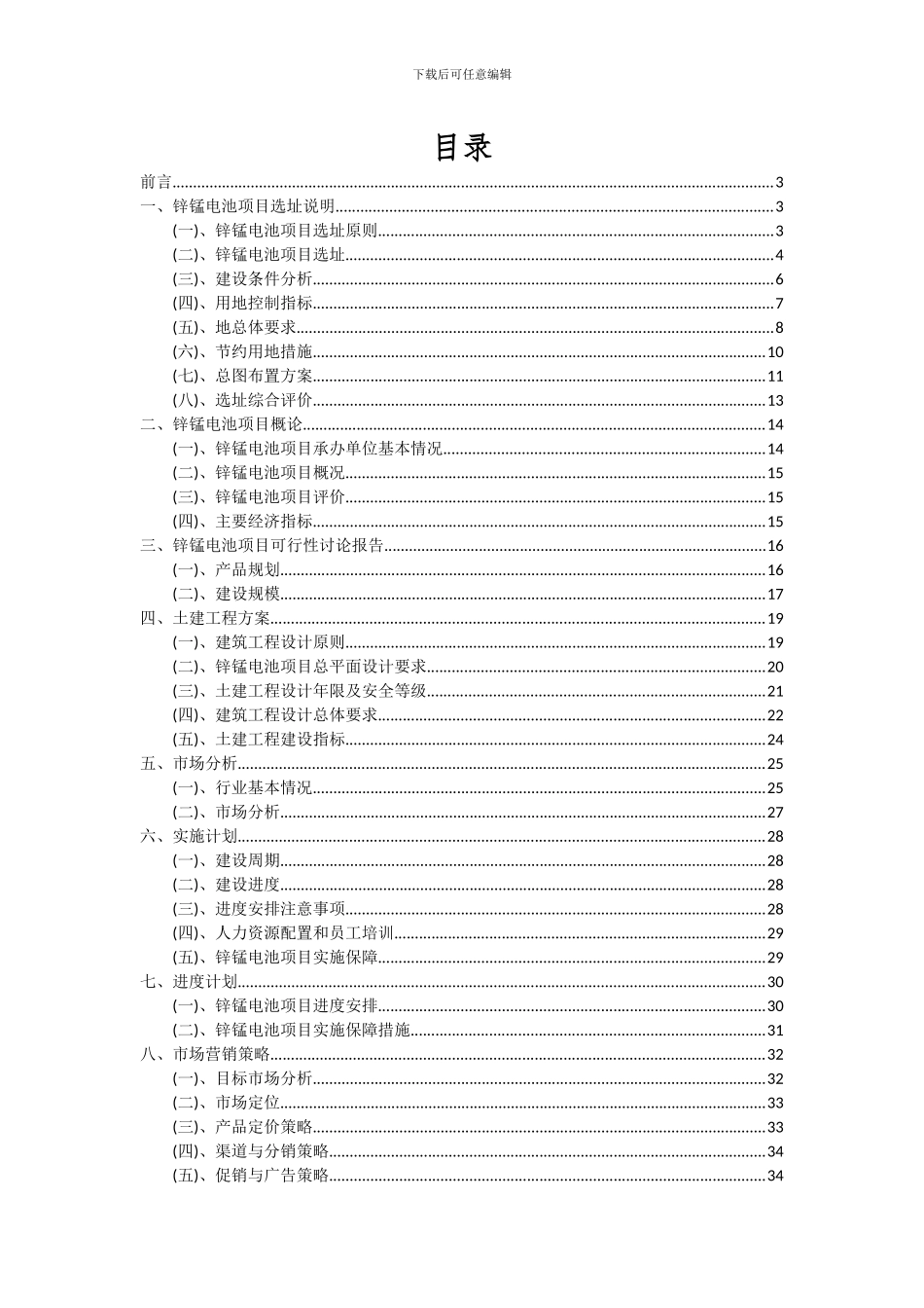 2024年锌锰电池项目可行性研究报告_第2页