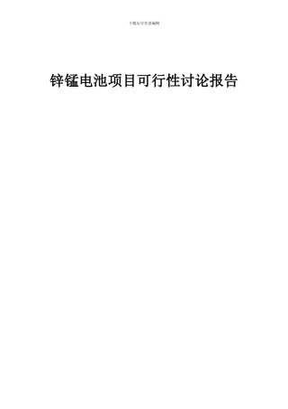 2024年锌锰电池项目可行性研究报告