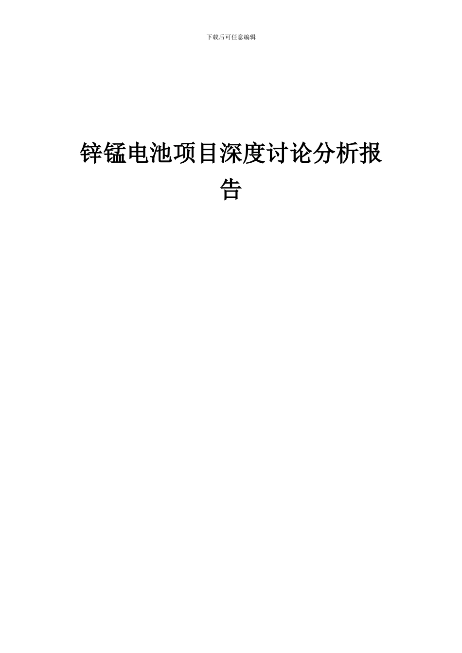 2024年锌锰电池项目深度研究分析报告_第1页