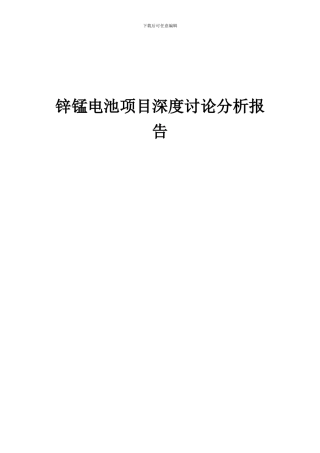 2024年锌锰电池项目深度研究分析报告