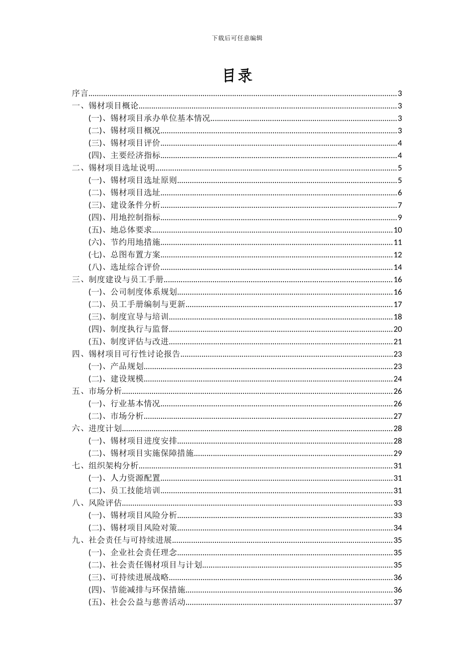 2024年锡材项目深度研究分析报告_第2页