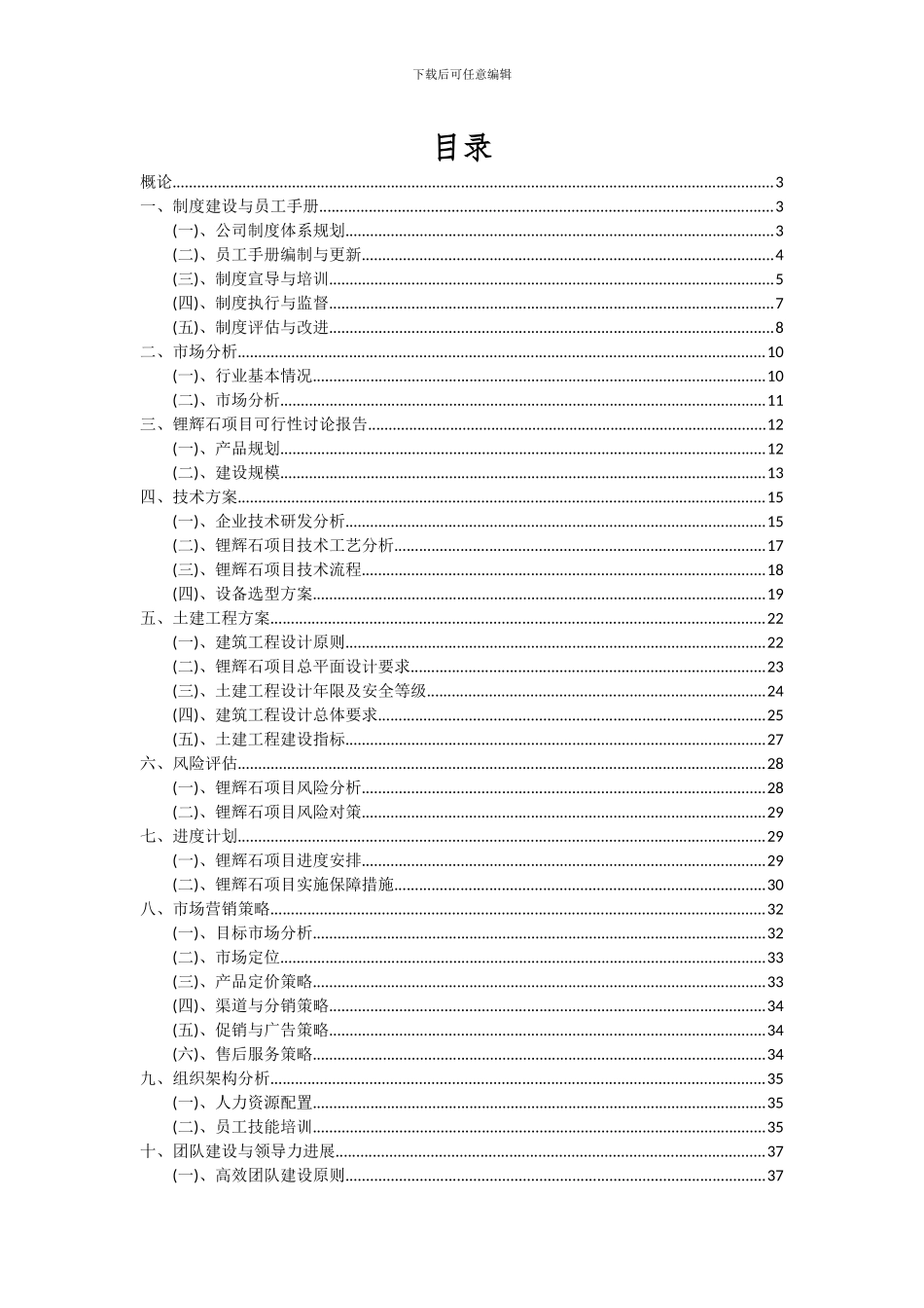 2024年锂辉石项目投资分析及可行性报告_第2页
