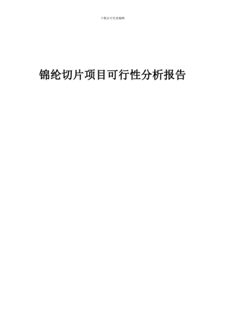 2024年锦纶切片项目可行性分析报告
