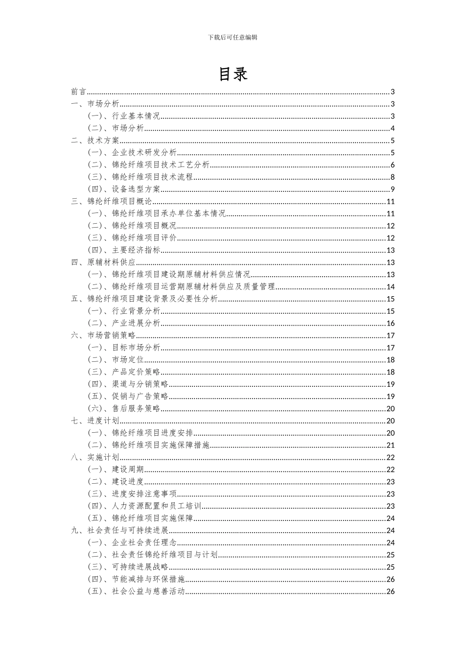 2024年锦纶纤维项目深度研究分析报告_第2页
