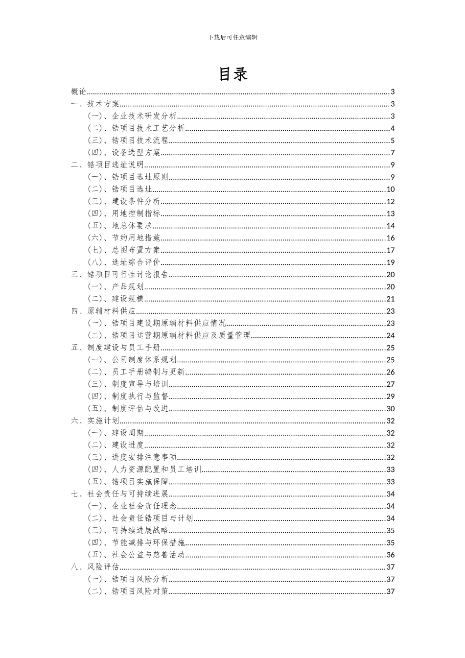 2024年锆项目可行性研究报告_第2页