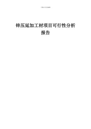 2024年锌压延加工材项目可行性分析报告