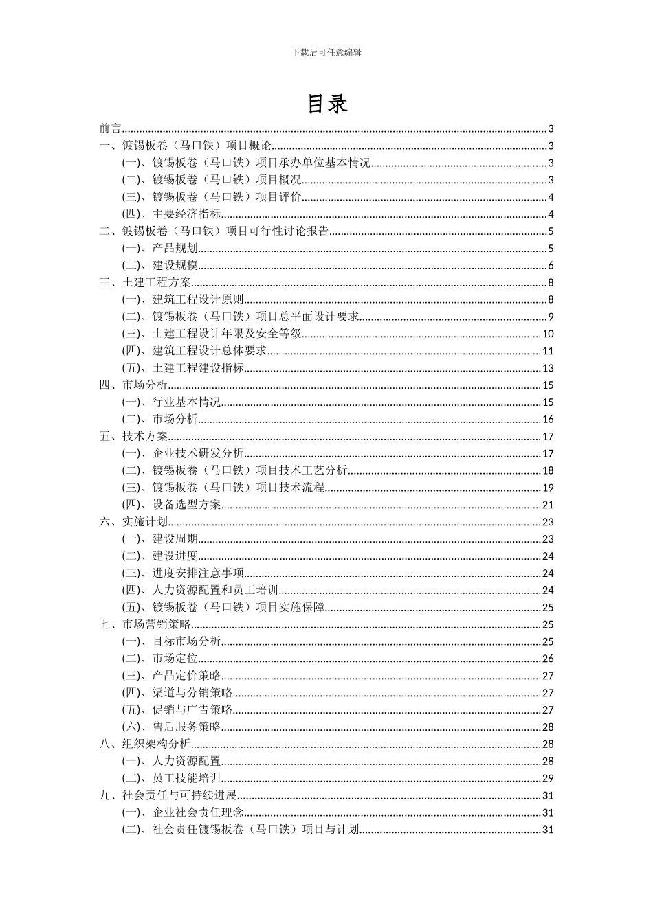 2024年镀锡板卷(马口铁)项目投资分析及可行性报告_第2页