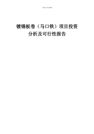 2024年镀锡板卷(马口铁)项目投资分析及可行性报告