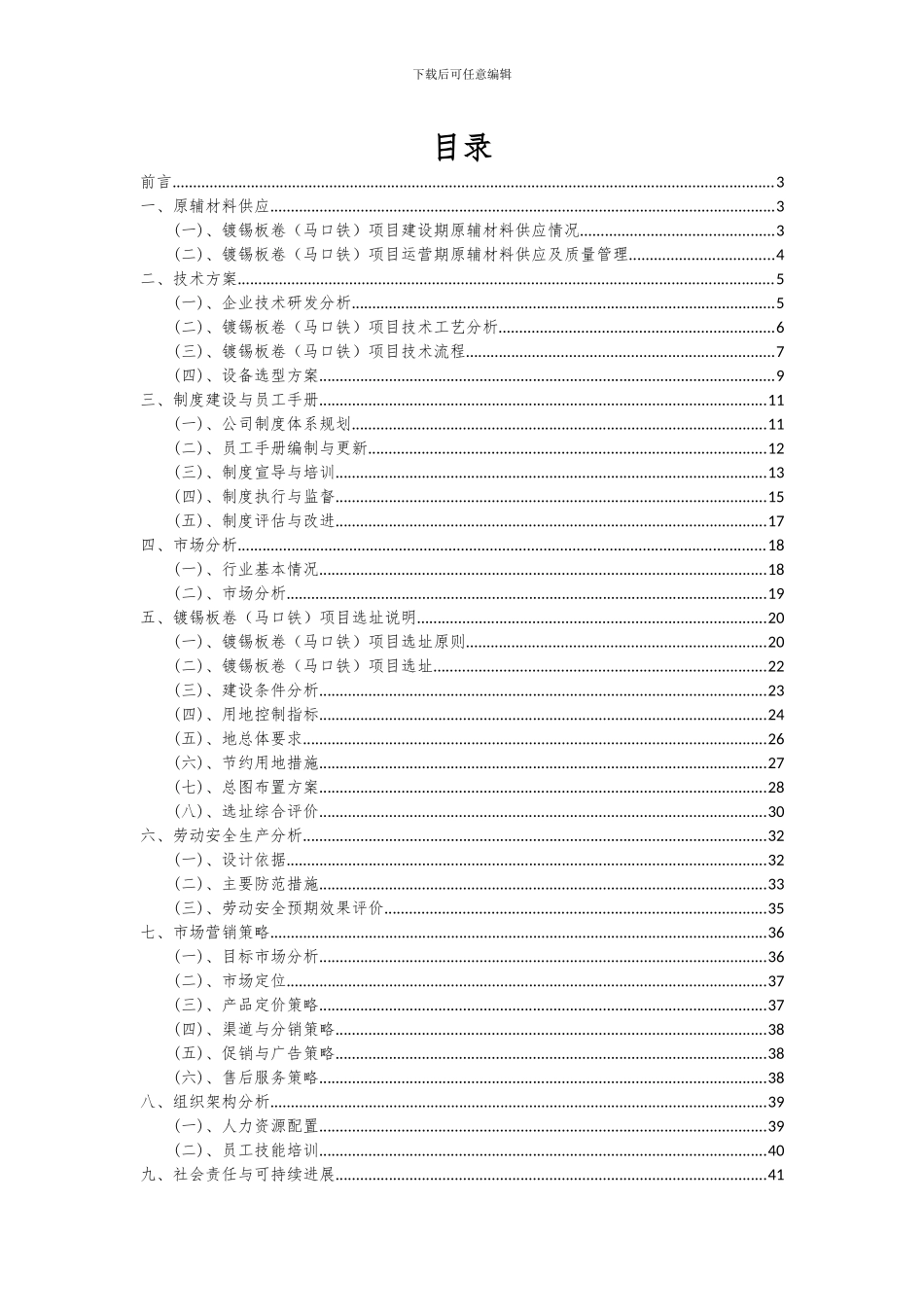 2024年镀锡板卷(马口铁)项目可行性分析报告_第2页