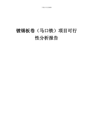 2024年镀锡板卷(马口铁)项目可行性分析报告