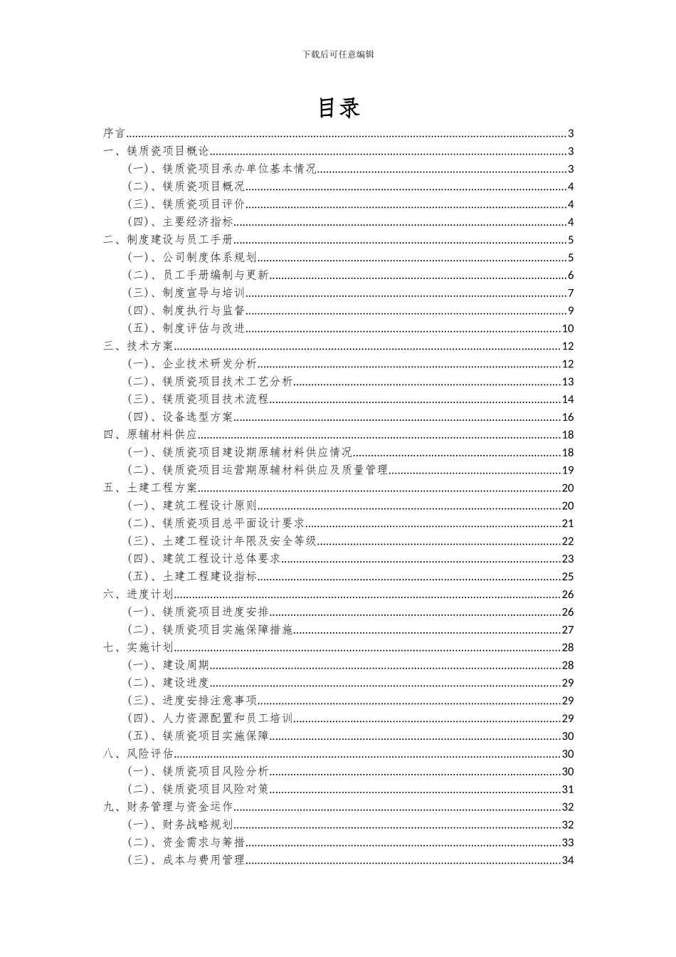 2024年镁质瓷项目投资分析及可行性报告_第2页