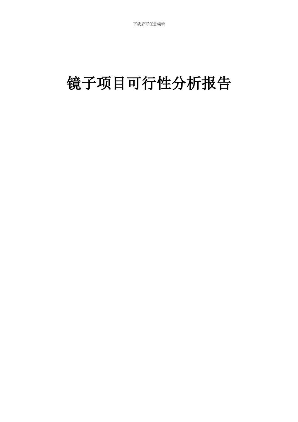 2024年镜子项目可行性分析报告_第1页