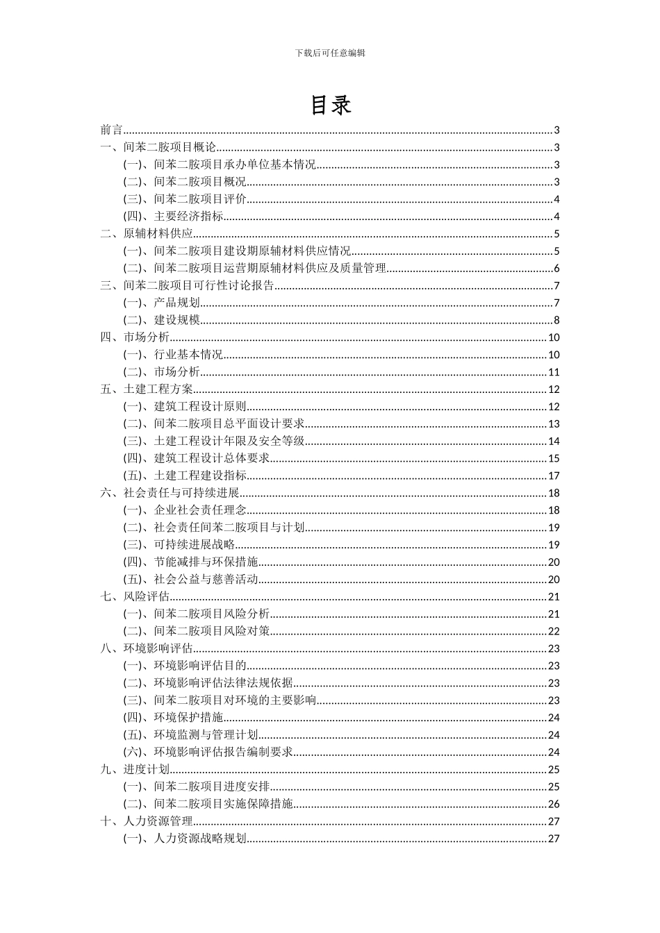 2024年间苯二胺项目可行性分析报告_第2页