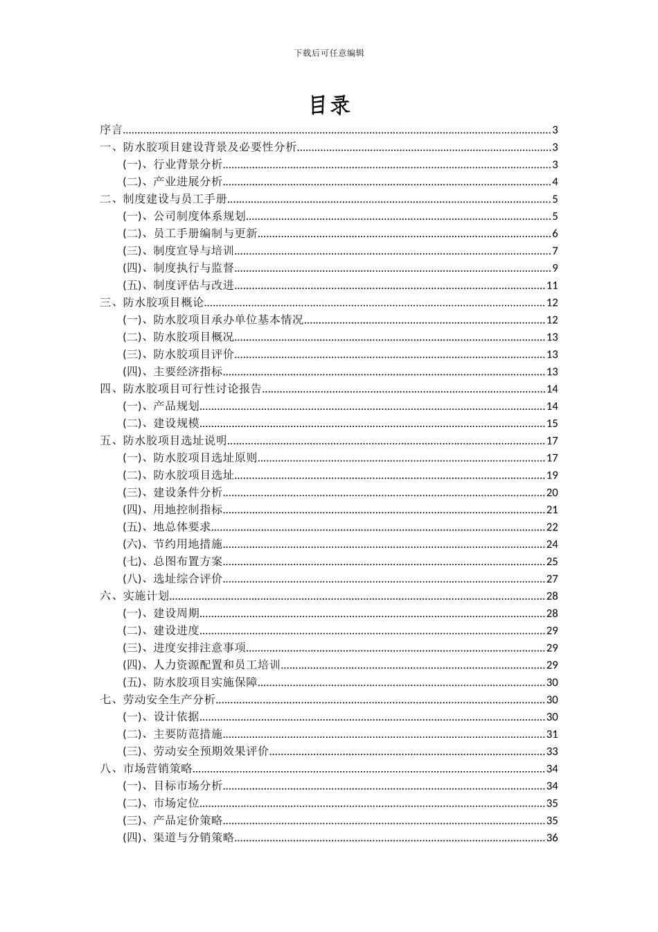 2024年防水胶项目投资分析及可行性报告_第2页