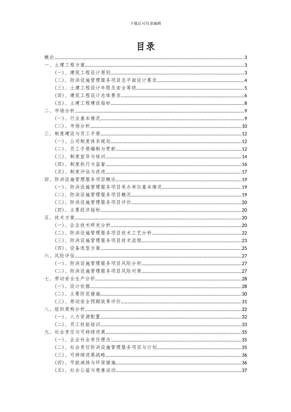2024年防洪设施管理服务项目可行性研究报告_第2页