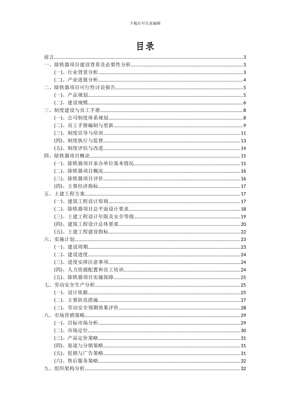 2024年除铁器项目可行性分析报告_第2页
